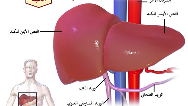 لمحة نيوز